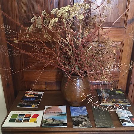 Hotel Aiglon Olmeto  Dış mekan fotoğraf