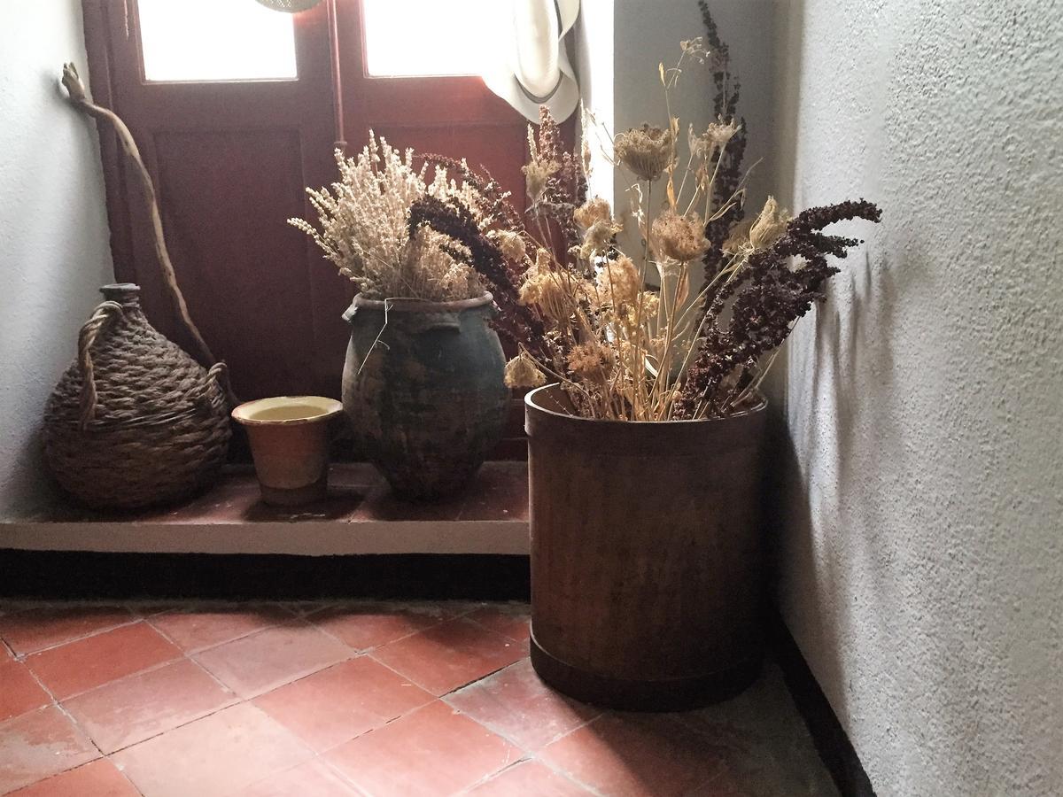 Hotel Aiglon Olmeto  Dış mekan fotoğraf